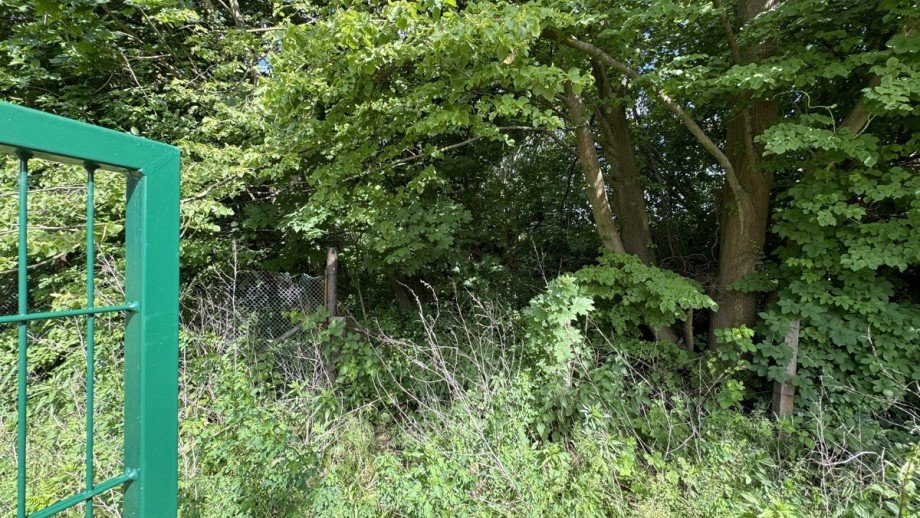 Garten Wohngrundst�ck Bernau bei Berlin