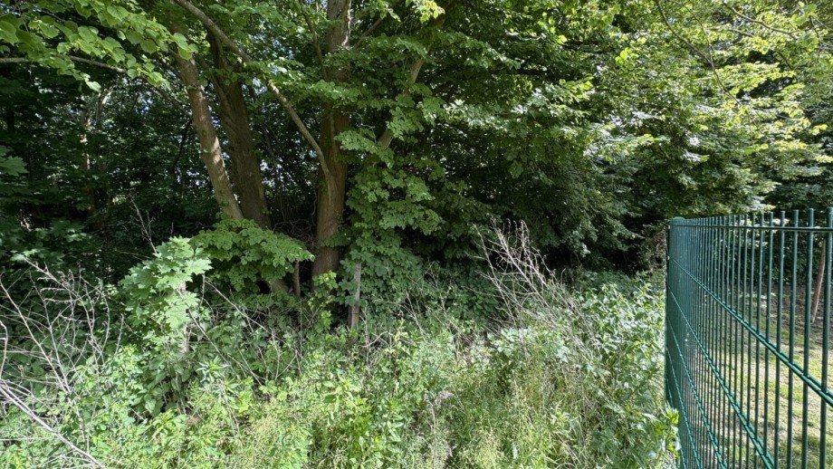 Grundst�ck Wohngrundst�ck Bernau bei Berlin