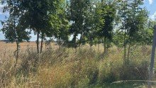 Grundst�ck 3 Gro�artiges Baugrundst�ck mit herrlichem Gr�nblick+ guter Infrastruktur zu kaufen. K�hnel Immobilien
