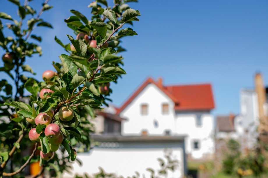 Apfelbaum Zweifamilienhaus Finowfurt