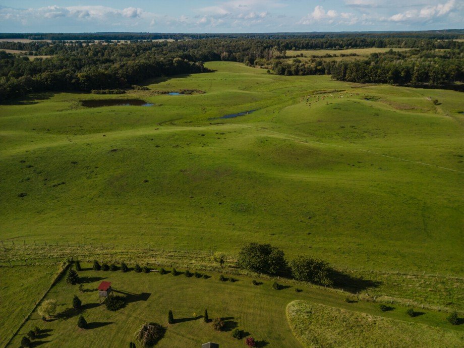 herrliche Umgebung Doppelhaush�lfte Schorfheide
