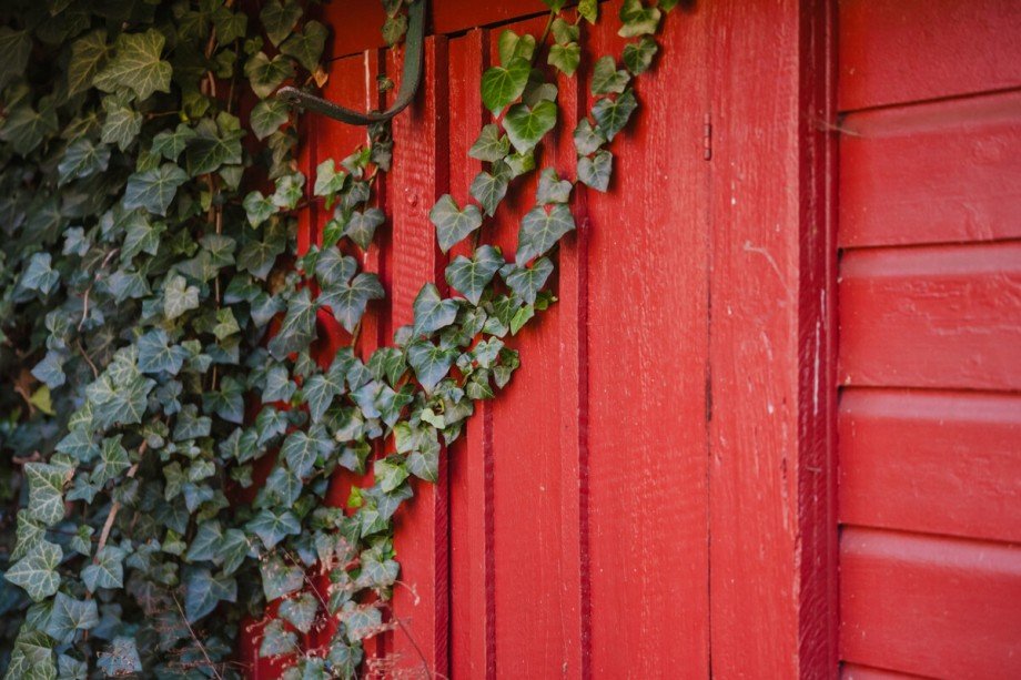 Rot und Gr�n Einfamilienhaus Biesenthal