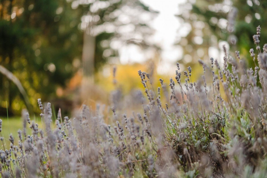 Gr�ser und B�sche Einfamilienhaus Biesenthal